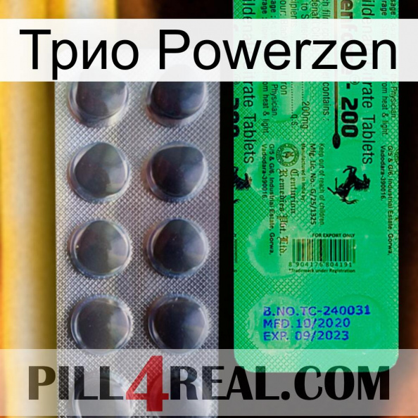 Трио Powerzen new04.jpg